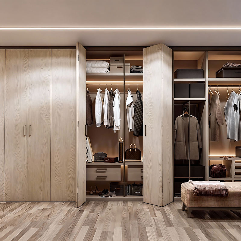 Hotel and Living Room Wardrobe: Customizable and Moisture Proof