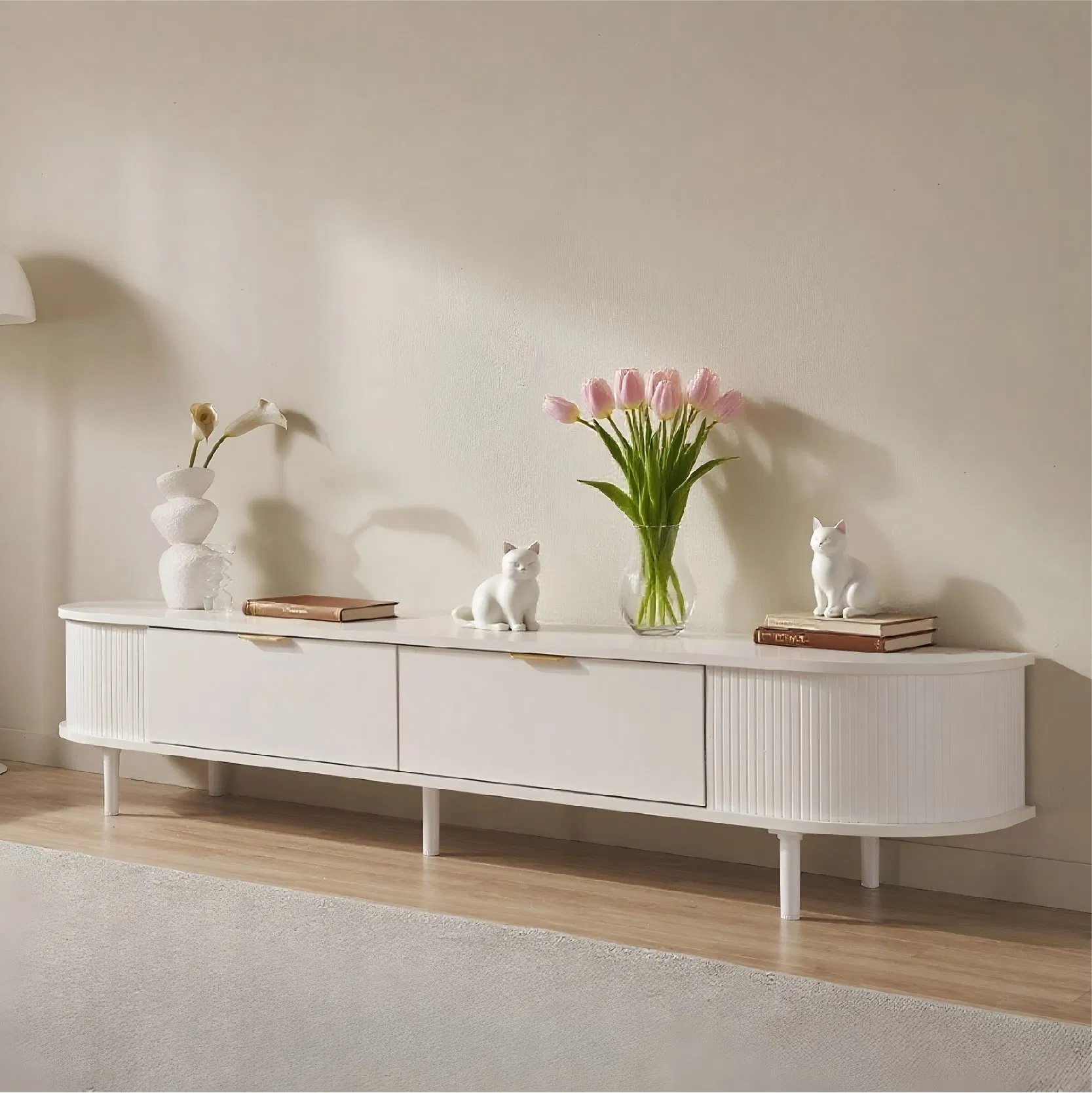 Versatile Modern TV Stand for Living Room Organization